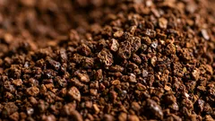 なぜコーヒー豆を事前に挽いてはいけないのか：その日の新鮮さを保つ秘訣